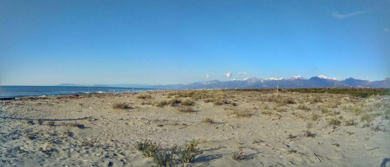 La Casetta Del Viaggiatore - "Traveller'S Home" Торре-дель-Лаго-Пуччини Экстерьер фото